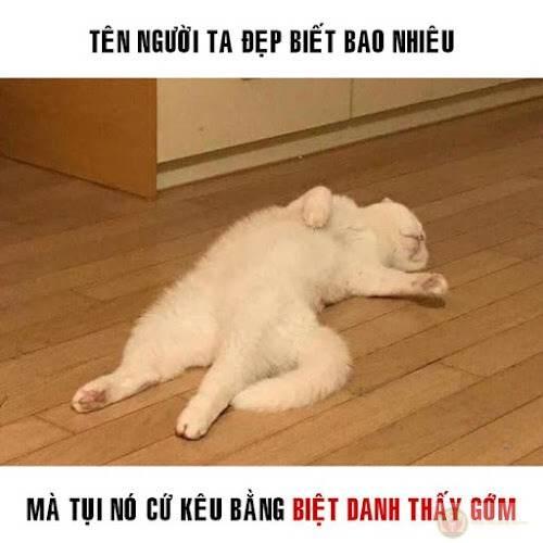 Khóc cho nhẹ lòng, rồi lại gồng lên tiếp tục