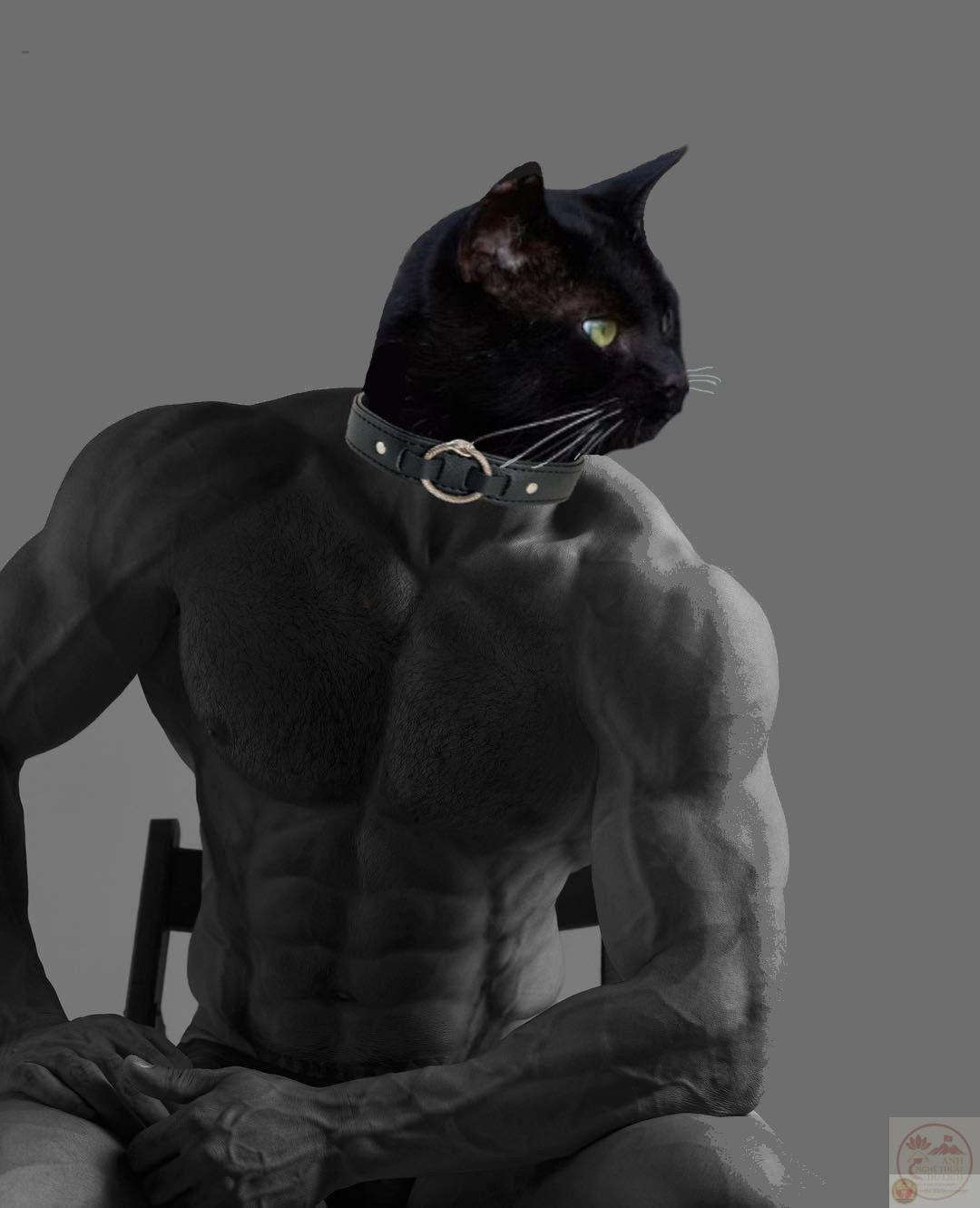 Ảnh chế Giga Chad trở thành đại diện cho sự tự tin có phần quá đà