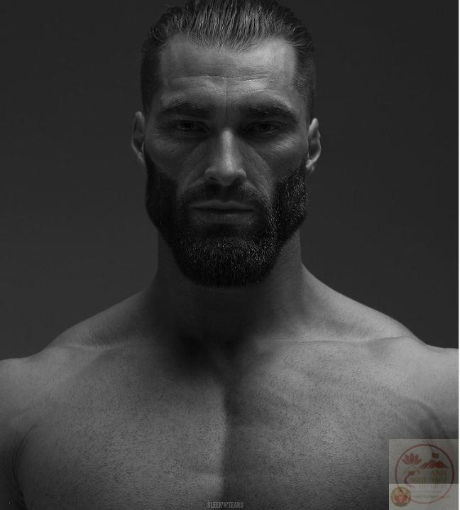 Gigachad meme: 140+ ảnh Chad face sigma nam tính đỉnh cao
