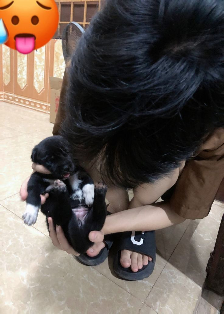 Một chiếc ảnh trai K8 giản dị nhưng tươi sáng đủ để tạo cảm giác dễ chịu