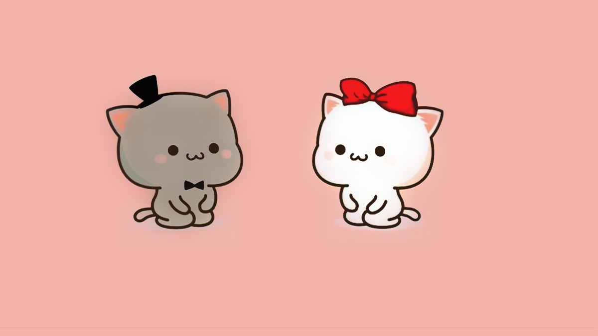 Ảnh avatar tết con mèo 2023 hình 10