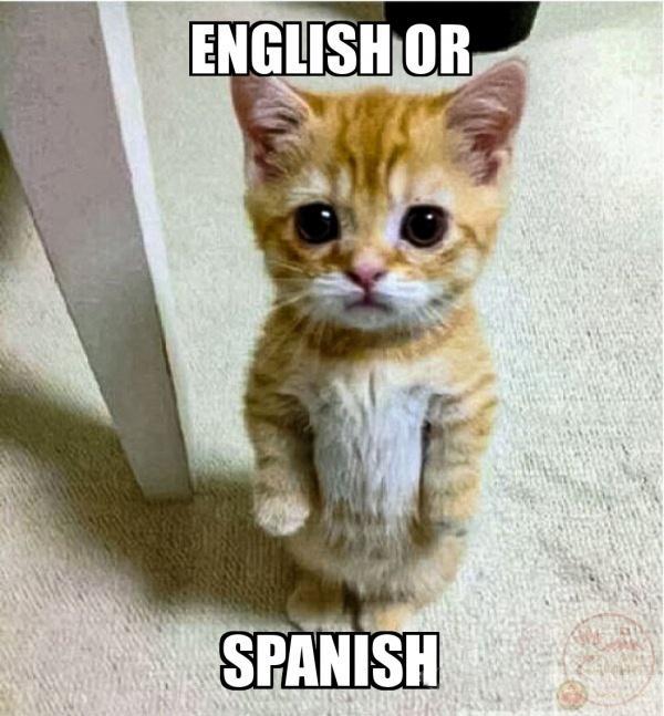 cách tạo english or spanish meme