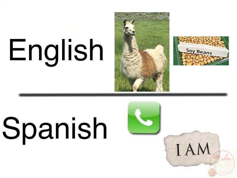 english or spanish meme tiktok sound