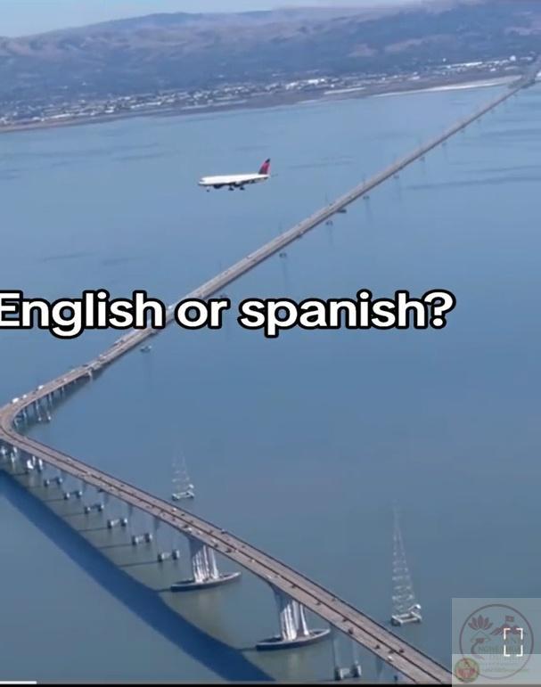 english or spanish meme trend