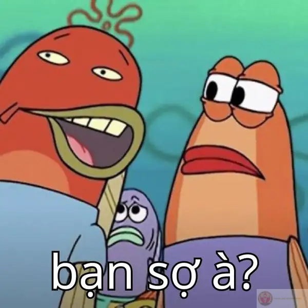 Tui hỏi nhẹ cái thôi mà run dữ ha