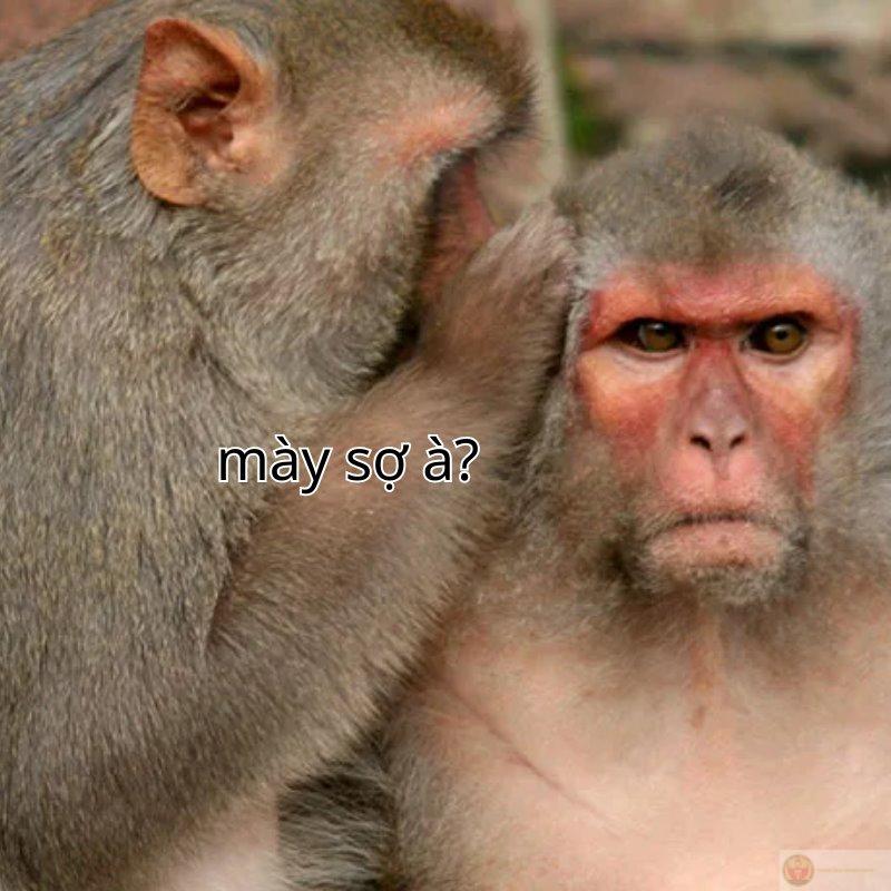 Không thở mạnh luôn, chắc bạn sợ thật rồi