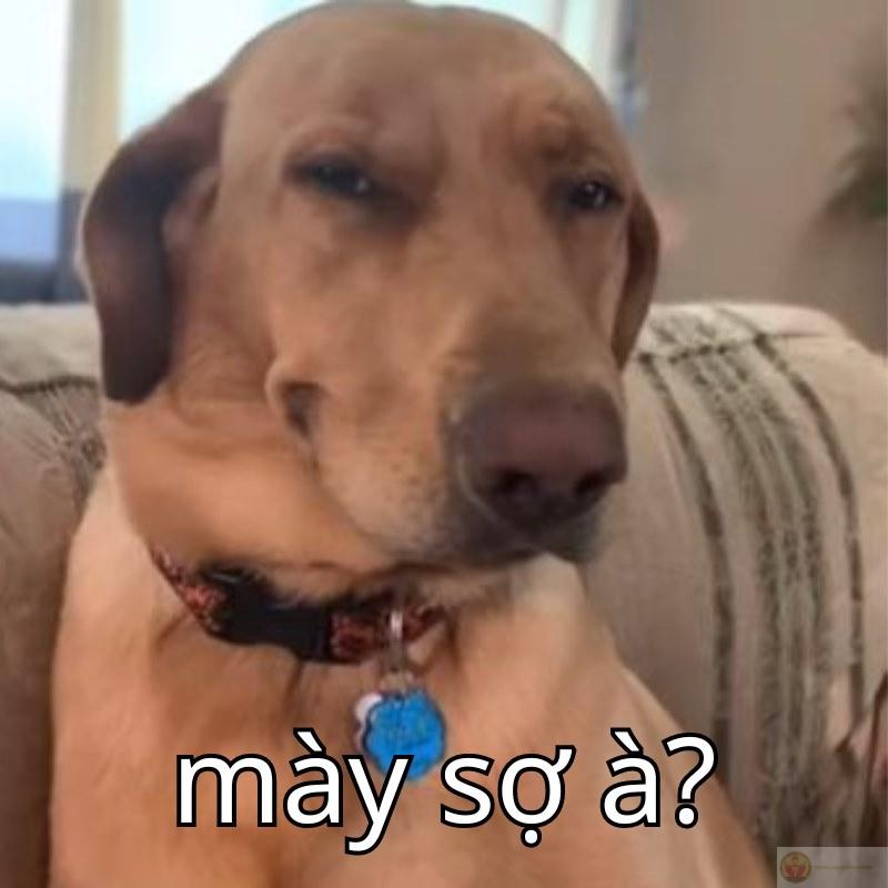 Bạn sợ à ếch ộp