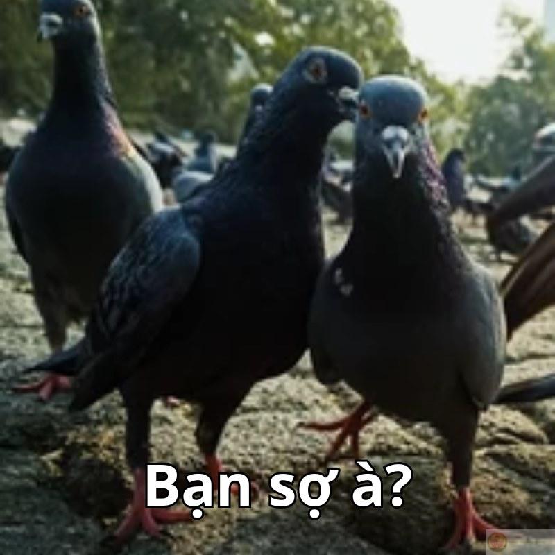 Tui còn chưa gắt mà bạn đã lùi bước