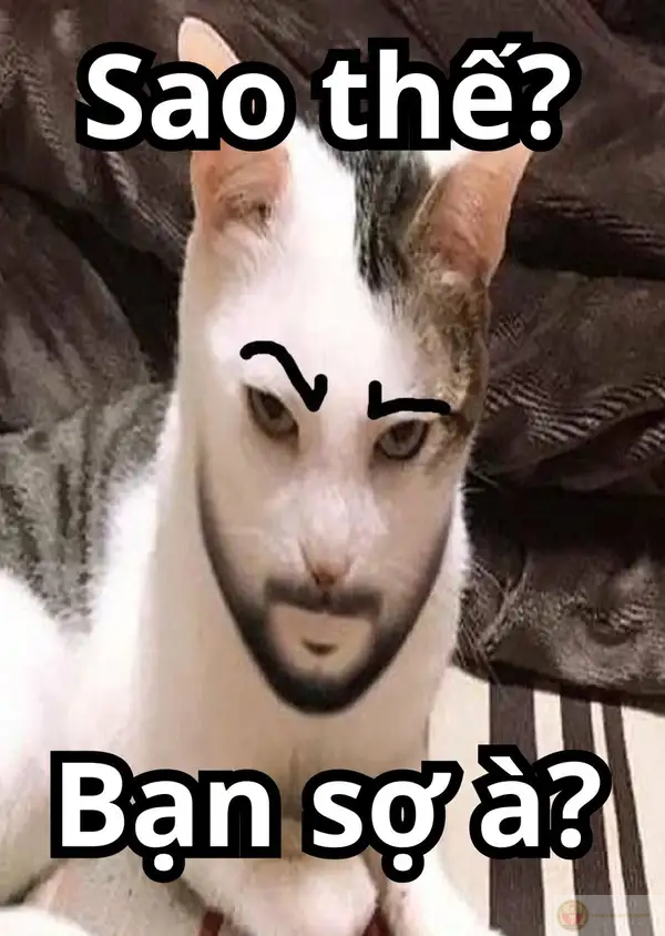 Bạn sợ gì mà block tui luôn vậy trời