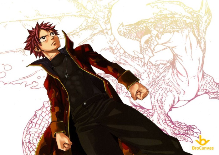 Ảnh anime nam đẹp Natsu Dragneel