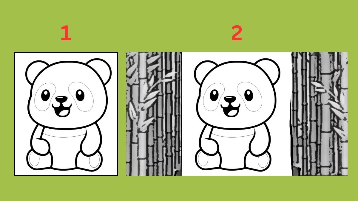 Các bước vẽ con gấu đơn giản - Vẽ các chi tiết còn lại