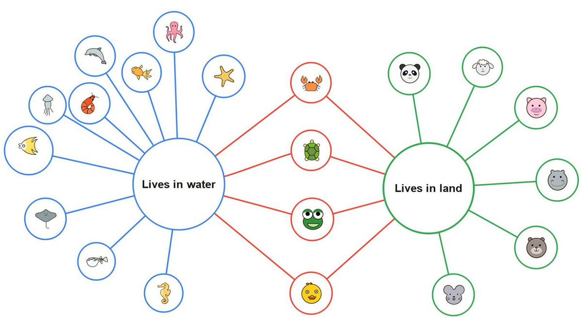 Cách vẽ sơ đồ tư duy đơn giản dạng bong bóng - Bubble Map