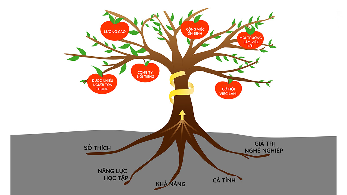 Cách vẽ sơ đồ tư duy đẹp dạng cây - Tree Map