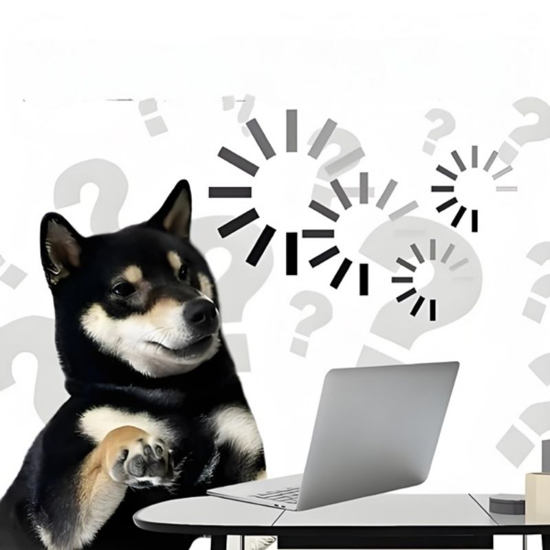 Meme deadline dí chạy