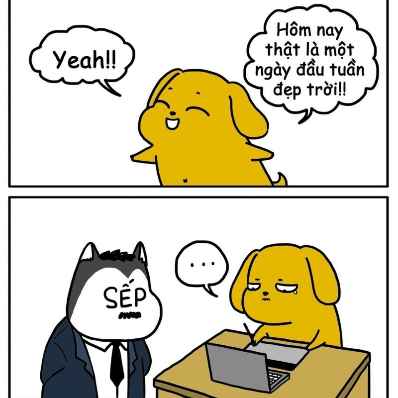 Meme deadline có chữ