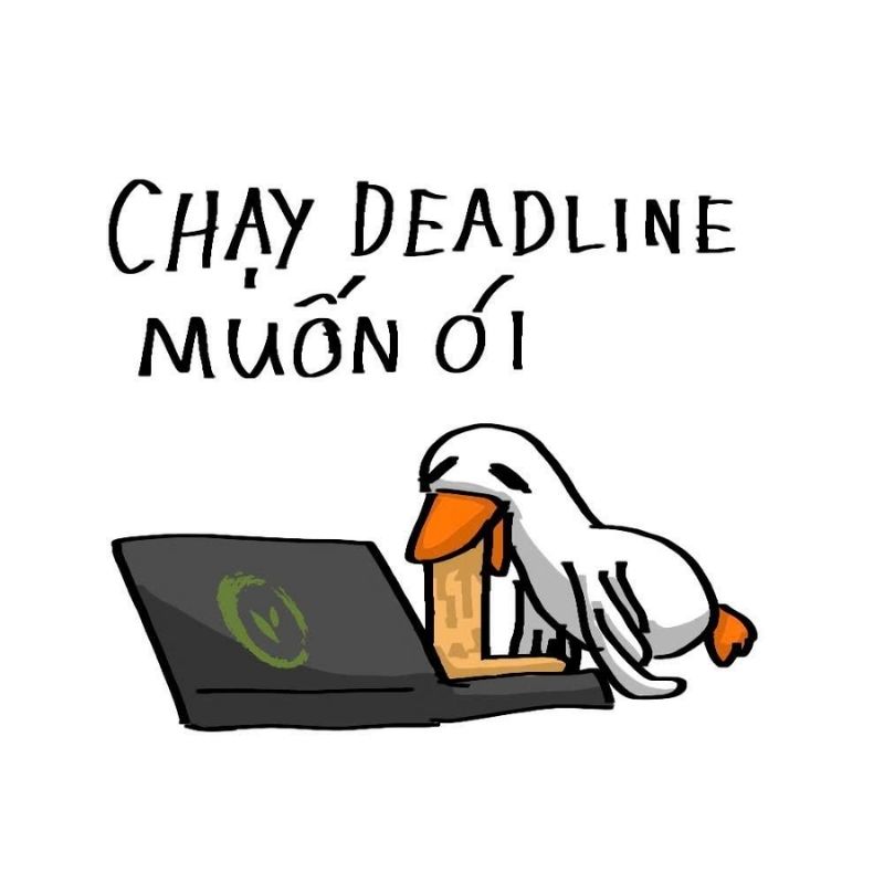 Meme deadline kèm chữ