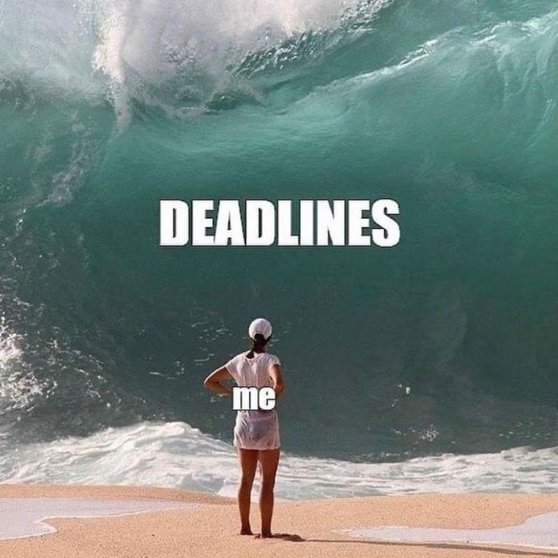 Meme deadline kèm chữ vui nhộn
