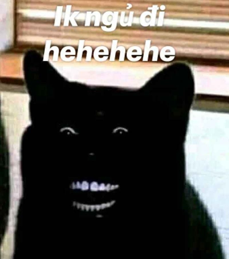 Meme chúc ngủ ngon hài hước