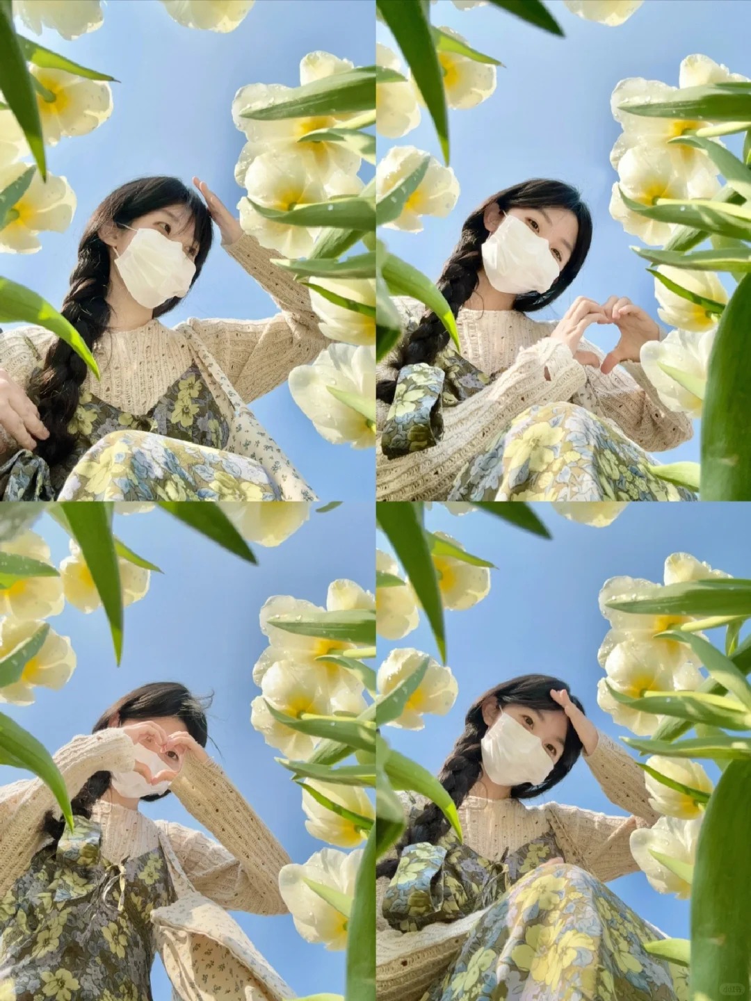 chụp ảnh với hoa góc từ dưới lên