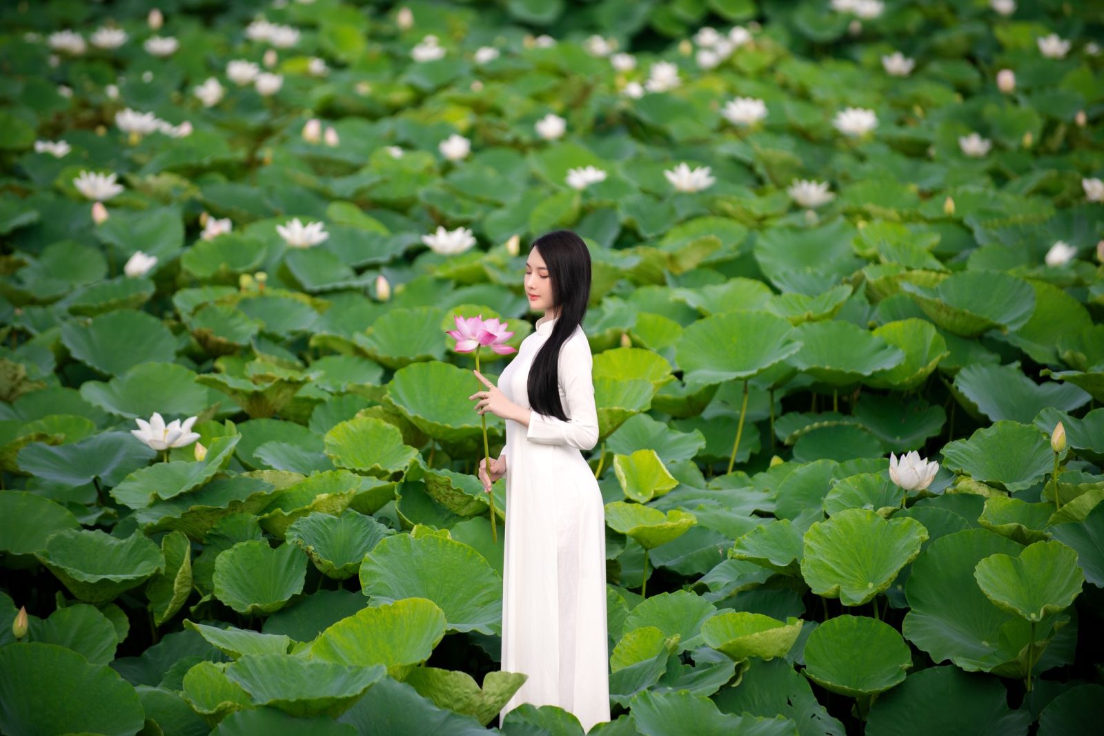 chụp ảnh với hoa