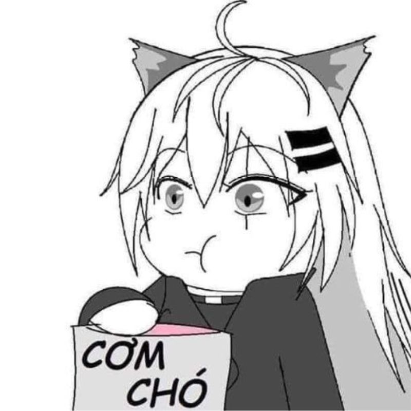Meme cơm chó hài hước