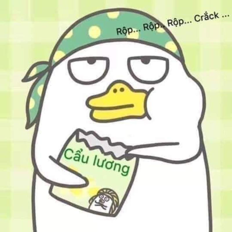 Meme cơm chó hài hước khiến FA ganh tỵ