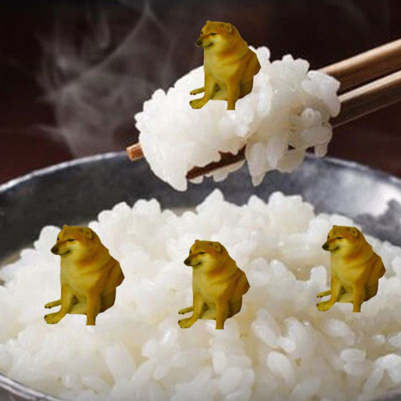 Meme cơm chó đáng yêu