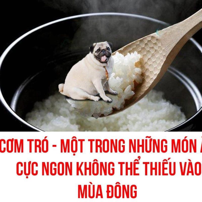 Meme cơm chó kèm caption hài bựa
