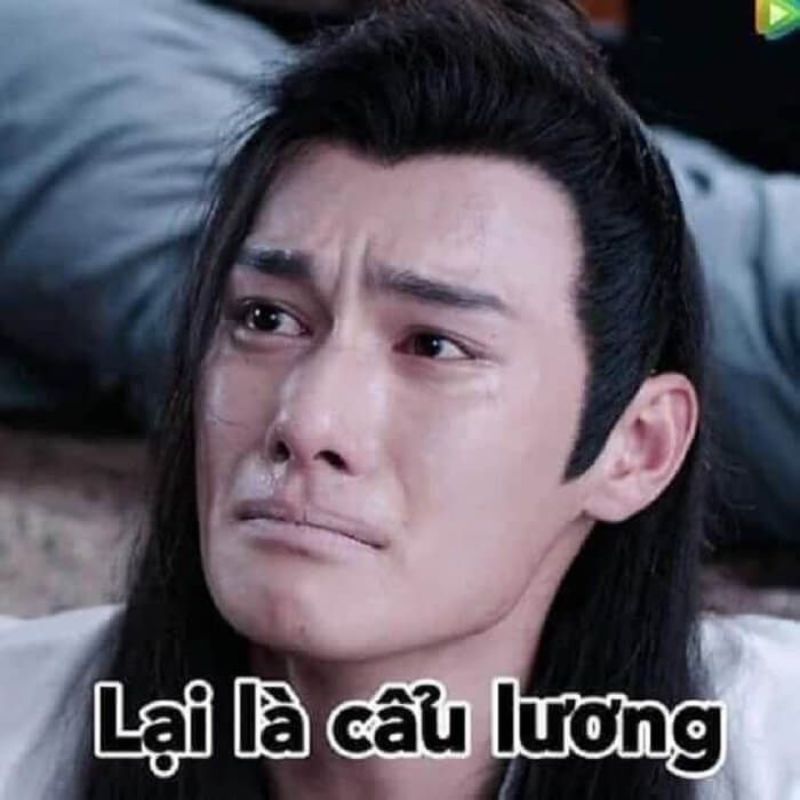 Meme cơm chó phim kiếm hiệp hài hước