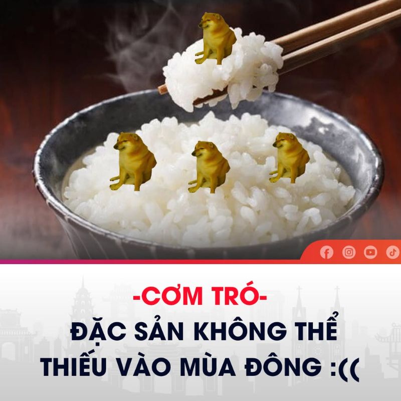 Cơm chó meme đáng yêu trên mạng xã hội