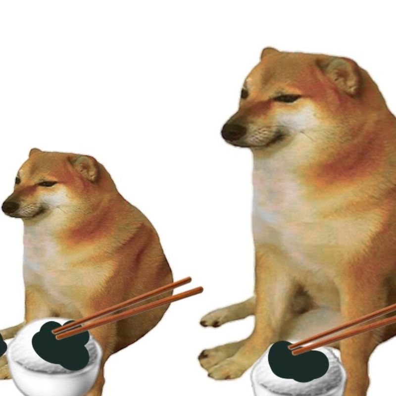 Cơm chó meme hài bựa