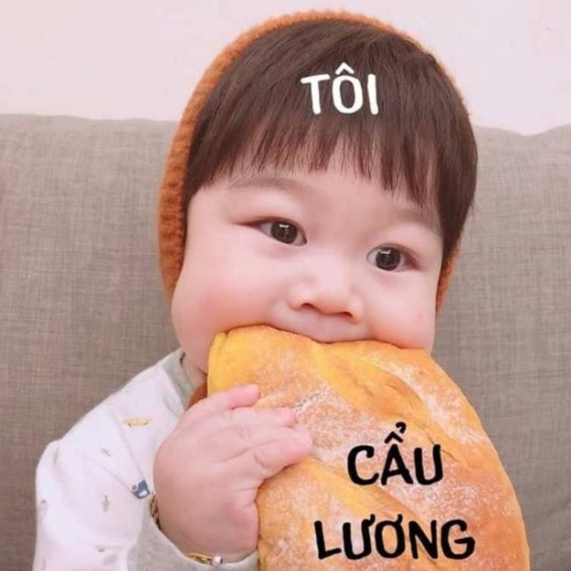 Cơm chó meme cậu bé hài hước