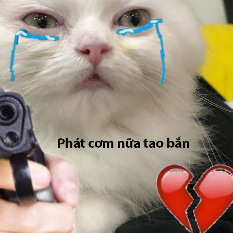 Cẩu lương meme hài hước