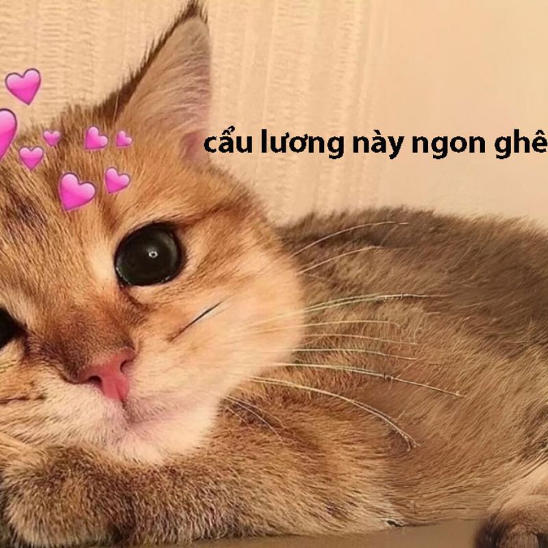 Cẩu lương meme hài hước