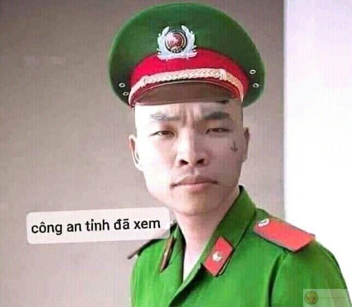 Meme báo cáo với chú áo xanh khiến ai đọc cũng phải cười chảy nước mắt