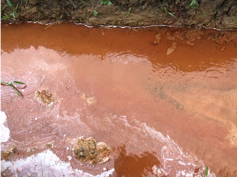 CẢI TẠO ĐẤT PHÈN TRỒNG CÂY                              &ndash; Công nghệ xanh 4.0