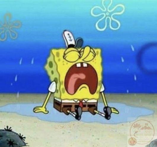 Ảnh chế u ám thường được dân mạng dùng để kể về thất bại trong tình yêu