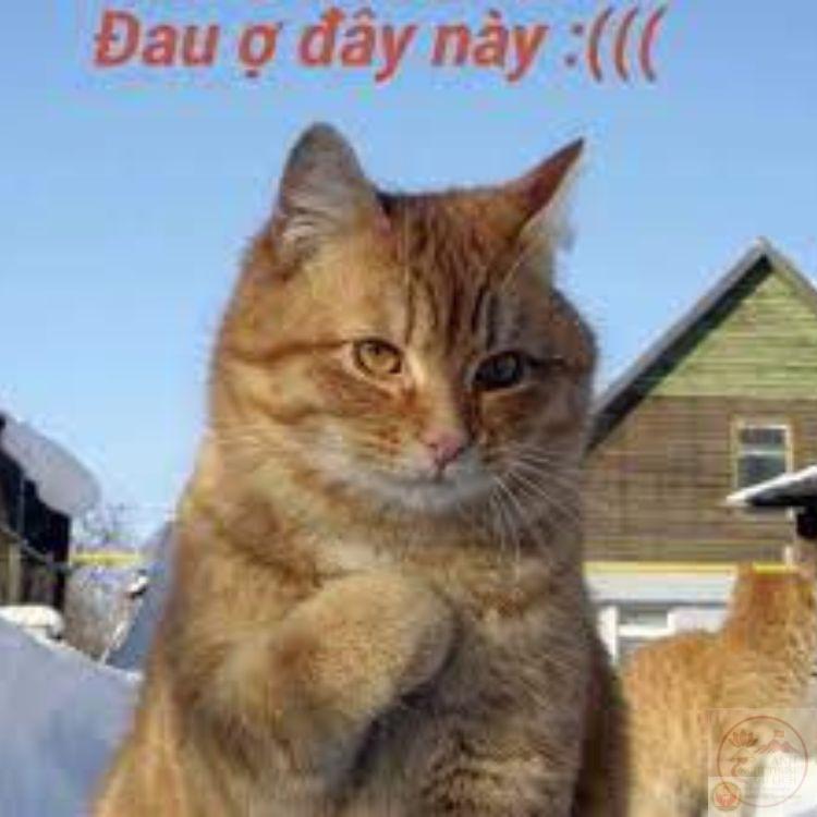 Đau ở đây này, khi kỳ vọng quá nhiều nhưng kết quả lại chẳng như mong đợi