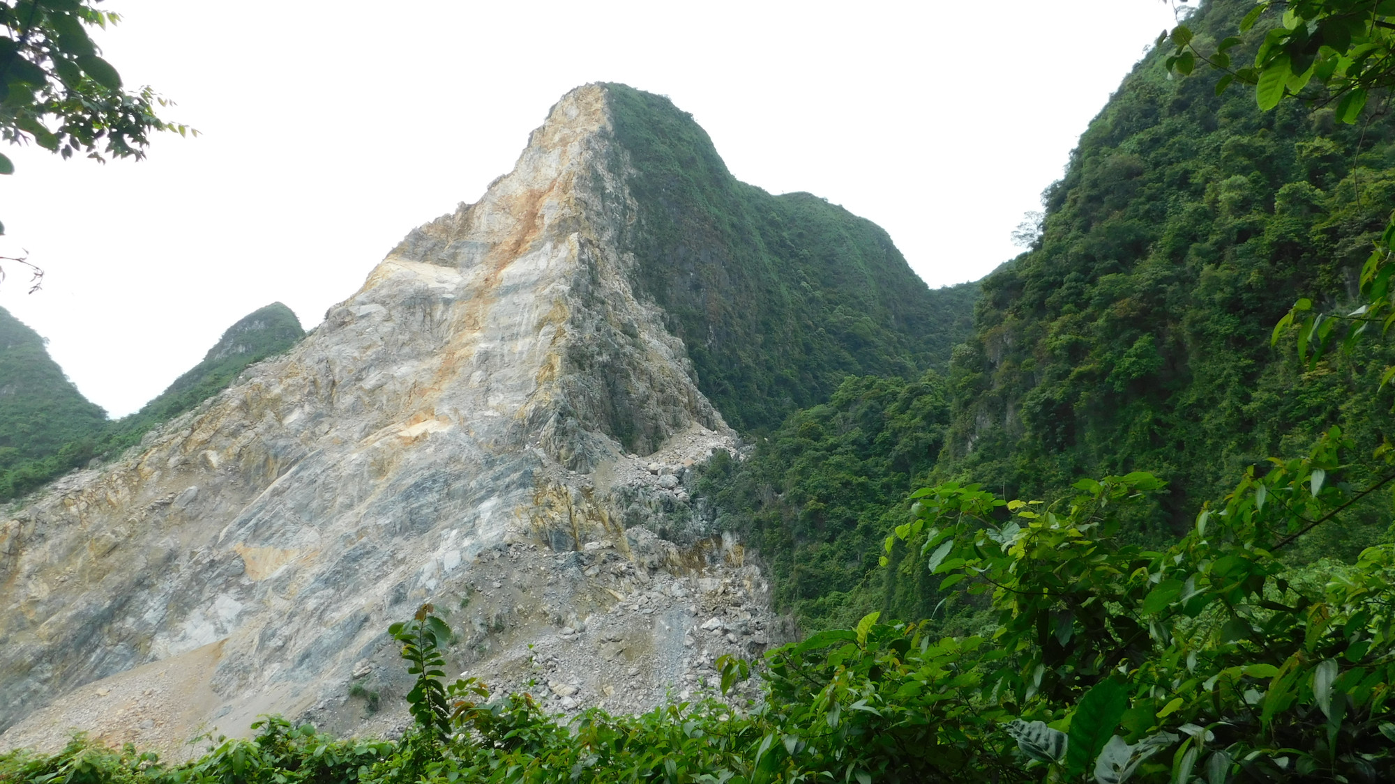 Đánh dấu tuyến đường theo dấu voọc quần đùi trắng giữa rừng Kim Bảng, Hà Nam. (Ảnh: Trung tâm bảo tồn thiên nhiên và phát triển)