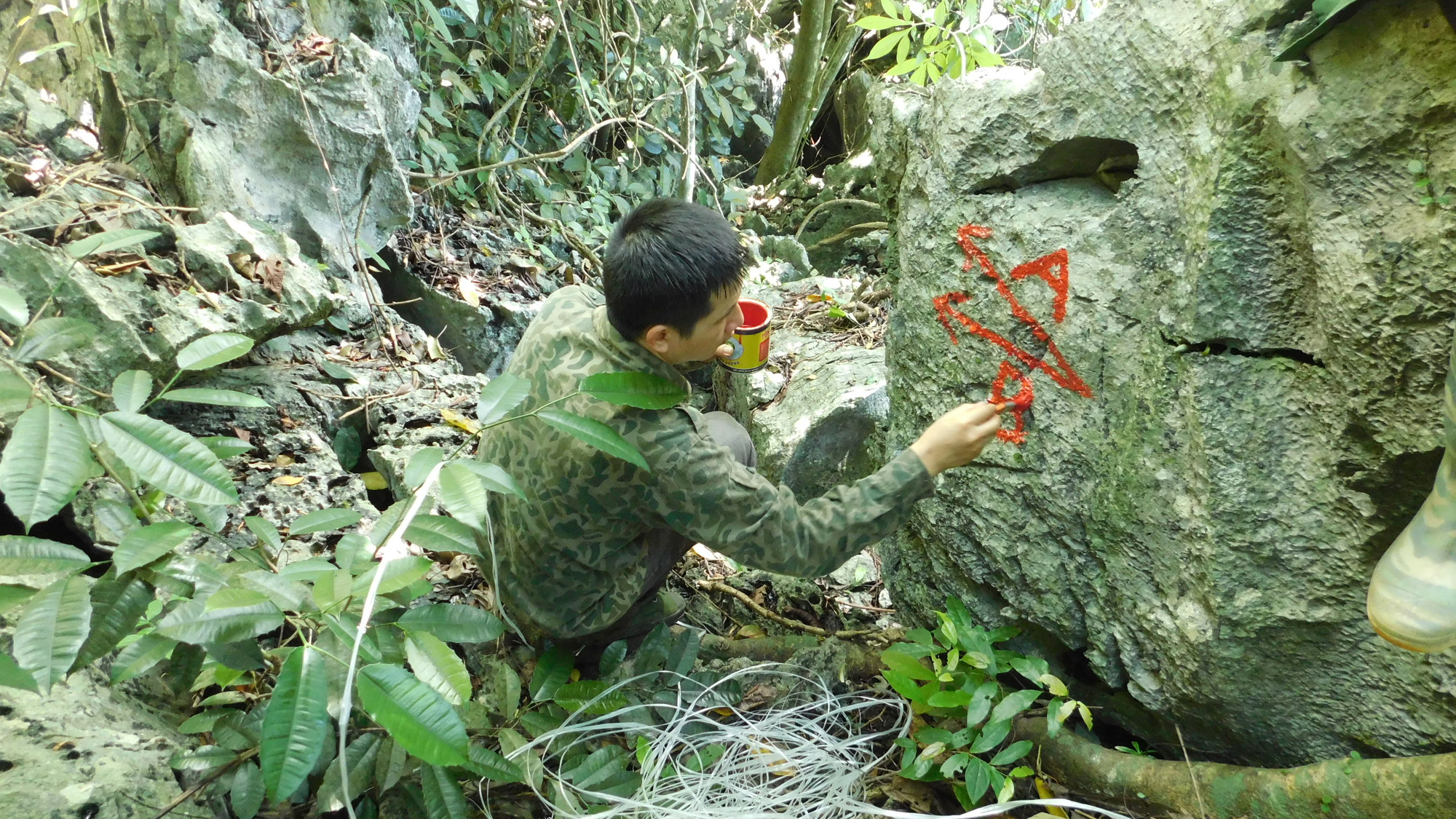 Những lán trại tạm trên hành trình theo dấu loài linh trưởng quý hiếm bậc nhất Việt Nam. (Ảnh: Trung tâm Bảo tồn Thiên nhiên và Phát triển)