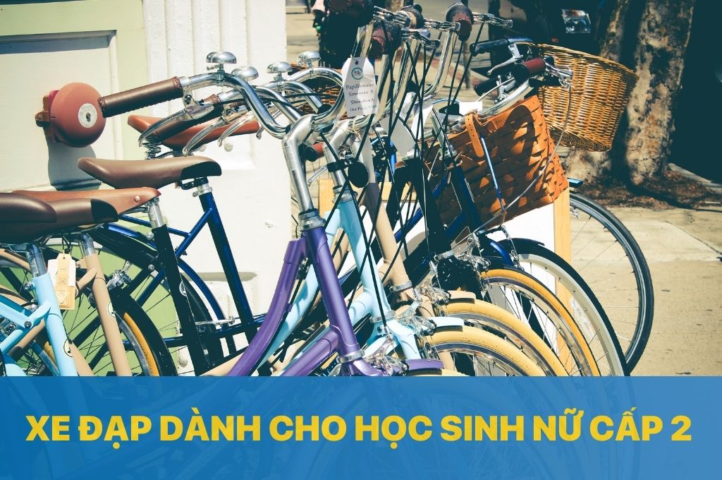 Các Mẫu Xe Đạp Cho Học Sinh Nữ Cấp 2 Bền Đẹp, Giá Rẻ