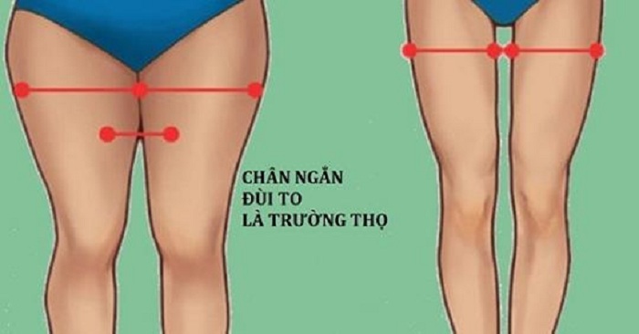 Các chuyên gia khẳng định phụ nữ có đùi to sẽ rất khỏe mạnh