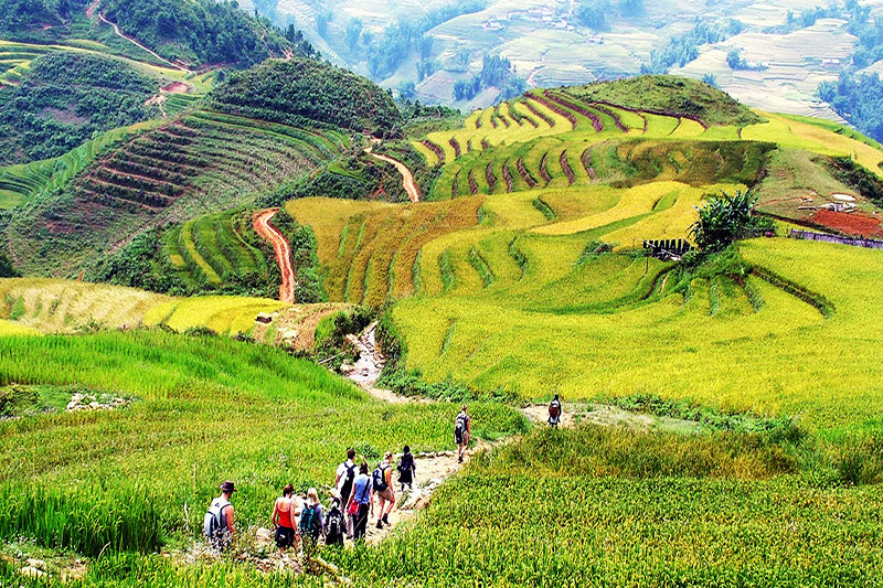 Spectacular 7-Day Sapa Trekking Journey In Northern Vietnam