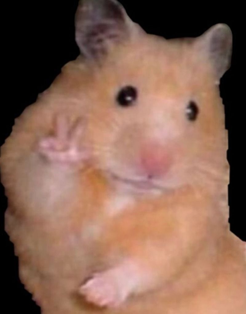 Hình ảnh meme giơ tay động vật