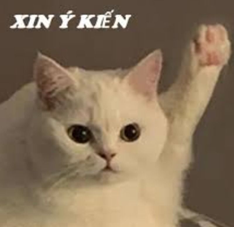 Hình ảnh meme giơ tay theo hành động cụ thể