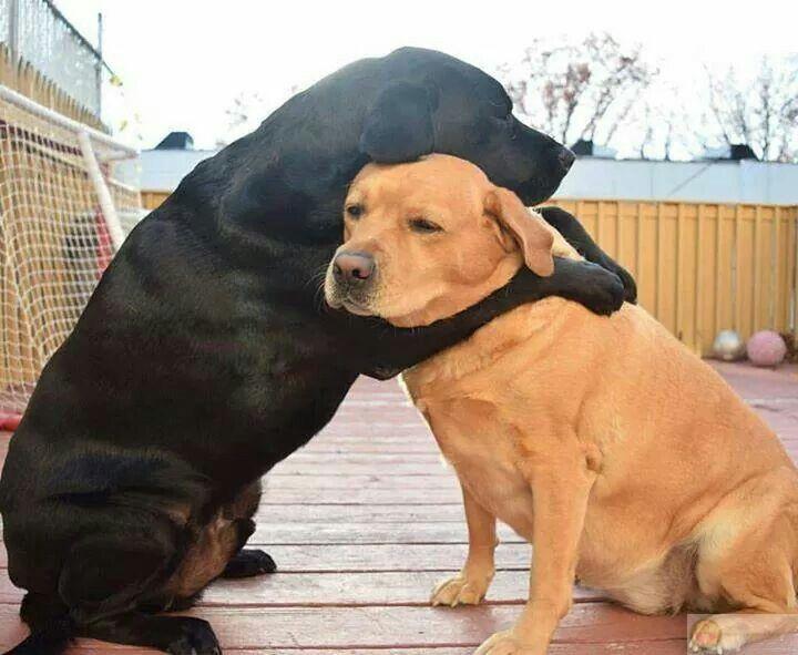 Meme ôm đầu bất ngờ thường đem lại sự hài hước bất ngờ