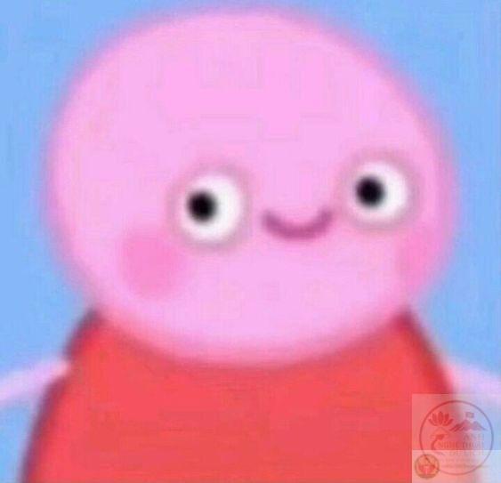 Niềm vui bất ngờ thường đến từ những bức ảnh chế giản dị và gần gũi nhất