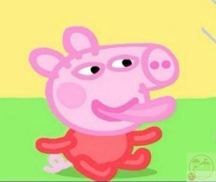 Tiếng cười sảng khoái từ bức ảnh chế giúp giảm bớt áp lực hằng ngày