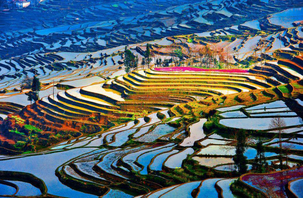 ảnh đẹp nguyên dương rực rỡ