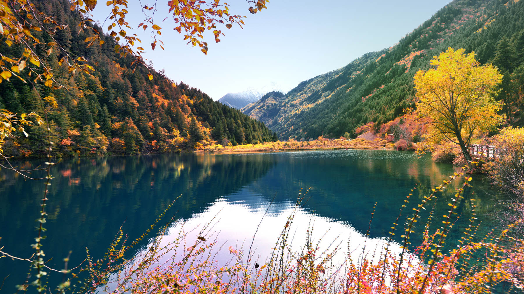 ảnh đẹp cửu trại câu nước xanh mây trắng cây vàng